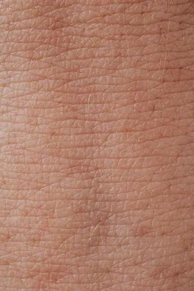 Elastina idrolizzata ingrediente Eslow Age per elasticità cutanea